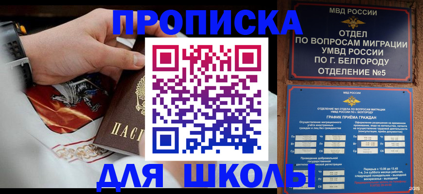 пропишу в квартире в Электрогорске